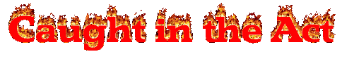 caughtintheact_bn.gif