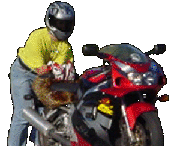 redlineextreme194.gif