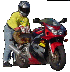 redlineextreme235.gif